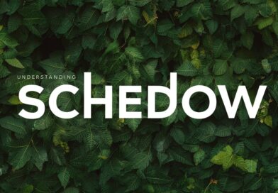 Understanding Schedow: The Complete Guide to Its Meaning, Uses, Features, and Benefits schedow